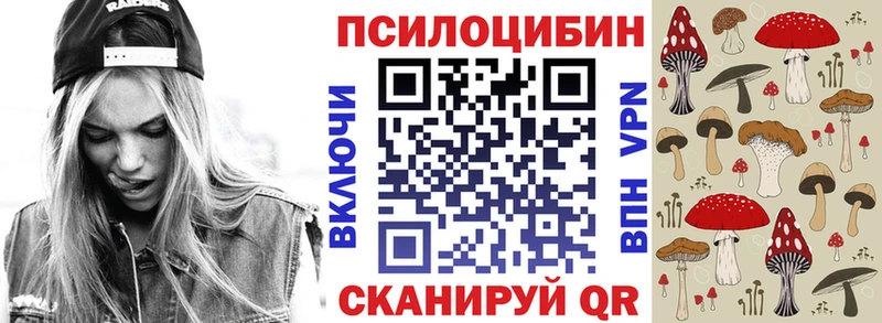 Галлюциногенные грибы Psilocybe  кракен   Цоци-Юрт 