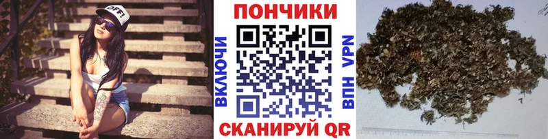 мориарти как зайти  Цоци-Юрт  Каннабис OG Kush 